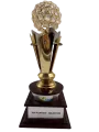 Flipkart Award